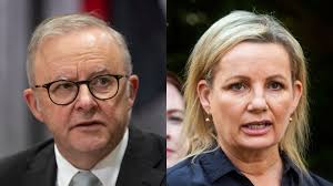 Gene Gibson: Appeal lodged for man jailed over Joshua Warneke murder