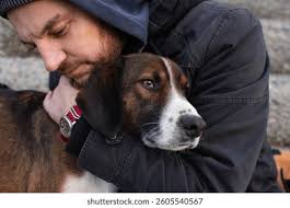 31+ Thousand Dog With Long Ears Royalty-Free Images, Stock Photos &  Pictures