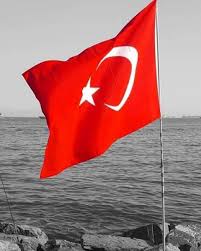 turkvatan turk vatan millet devlet asker polis umit bayrak turkler askeri