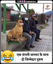 Joke on husband in hindi. Jokes Funnyjokes Memes Laughing Colours Hindi Facebook