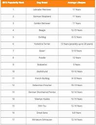 life expectancy of dogs how long will my dog live dogs