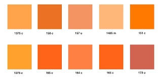 Pantone Orange Laranja Hogar Pantone
