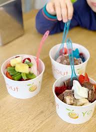 Yo Gout Frozen Yogurts A Nantes Nantes Specialite Japonaise Restaurant Russe