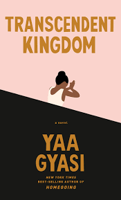Pdf Transcendent Kingdom By Yaa Gyasi In 2020 Fallen Book Novels Promote Book
