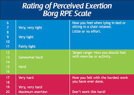 Borg Scale Rpe