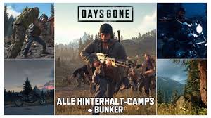 However, slaying them earns you considerable days gone horde rewards including trust. Days Gone Alle Hinterhalt Camps Bunker 100 Guide Youtube