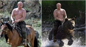 Now, putin actually oversees a number of research programs on various mammals that include polar bear and beluga whale and as well as wild cats. Does Putin Ride Bears To Show Dominance Quora