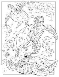If you want to know more or withdraw your consent to all or some of the cookies please refer to the cookie policy in our legal teenage mutant ninja turtles can be seen anywhere. 41 Turtle Coloring Pages Ideas In 2021 Turtle Coloring Pages Coloring Pages Coloring Books