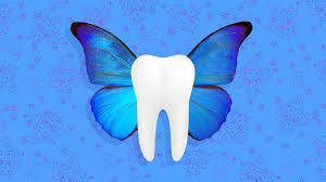 tooth fairy tips how to make your