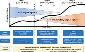 Simply put, the term immunocompromised means that the person's immune system is not functioning properly to fight off infections. Covid 19 Illness In Native And Immunosuppressed States A Clinical Therapeutic Staging Proposal The Journal Of Heart And Lung Transplantation