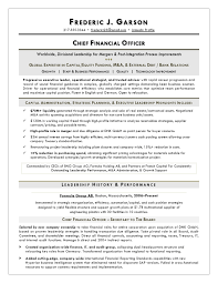 Executive summary an executive summary is the first section of a business plan or proposal that provides a brief overview of a document and contains its main points. Cfo Resume Sample Sablon
