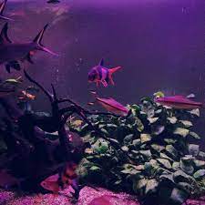 pretend that you are reading smth deep aquarius aqua aquarium water fis post tags water aesthetic animals animal lover