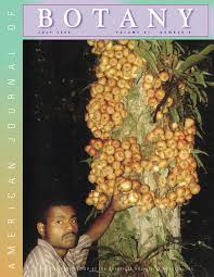 Image result for Aphanocalyx richardsiae