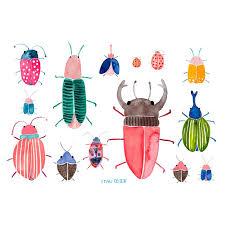 Print Kafer Tierillustration Tiere Kinderposter