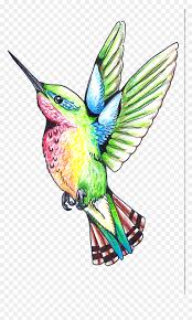 Hummingbird Tattoos Png Clipart Clip Art Transparent Png Vhv