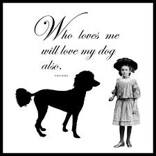 Pin On Wonderful Animals