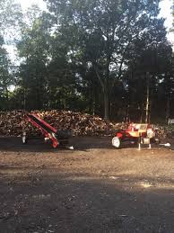 Central florida emergency leaders hold hurricane preparedness event. Seasoned Firewood Tommy Trees