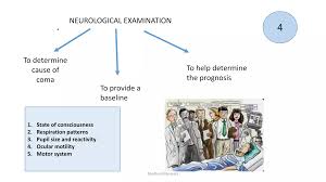 Image result for Coma Exam