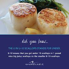 You can add all sorts of herbs and spices to create a rich n. Factfriday Did You Know That The U In U 10 Scallops Stands For Under U 10 Means That You Get Under 10 Scallops In 1 Pound Nice Big Juicy Scallops Vs The