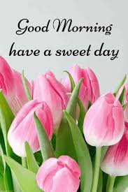 Best Good Morning Hd Images Wishes Pictures And Greetings Good Morning Flowers Good Morning Roses Morning Flowers