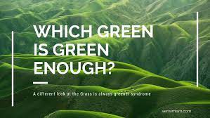 The Grass Is Always Greener On Which Side Sensimism