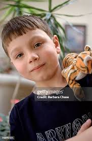 395 Stuffed Tigers Stock Photos, High-Res Pictures, and Images