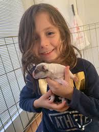 It's that time of of year again. #WelcomeBackGriswolds