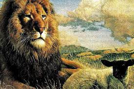 It's better to be a lion for a day than a sheep all your life. How To Find The Lion Within A Parable About A Lion And A Sheep