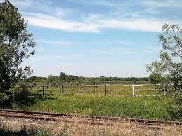 Summer landscape with green grass, road and clouds in hungary. Hungarian Landscape Hungary Nature Rural Landscape Rural Scene Agriculture Farm Summer Sky Plant Pxfuel