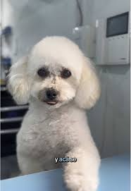 Gerente De Tio Amy Cabimas