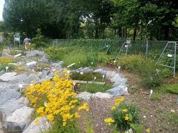 Im gegensatz zu der zweitausendjährigen geschichte der stadt regensburg, kann der botanische garten der universität regensburg nur auf eine vergleichsweise kurze existenz zurückschauen. Trfihi Parks Parks Botanischer Garten Regensburg