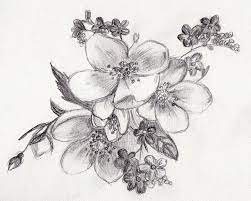 We did not find results for: Drawing Realistic Easy Sketch Drawing Flowers