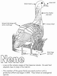 Save on your favourite brand labels today with saks off 5th. Nene With Labels