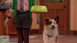 That's right, the beloved disney channel show aired its final episode on september 25, 2015, but it seriously feels like just yesterday! Dog With A Blog Tv Series 2012 2015 Imdb