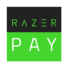 Neil patel logo home page. Razerpay Nets Logo Nxt