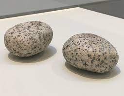 To Fix The Image In Memory 1977 82 Vija Celmins Museum Of Modern Art Painted Bronze