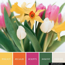 Flowers Tulips Daffodils Color Palette Inspiration
