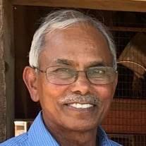 Ramasamy Thangavelu Obituary (2023)