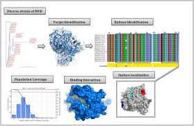Marburg virus is a hemorrhagic fever virus first described during small epidemics in the german cities marburg and frankfurt and the yugoslavian capital belgrade in the 1960s. Vaccinomics Approach For Scheming Potential Epitope Based Peptide Vaccine By Targeting L Protein Of Marburg Virus Biorxiv