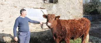 Au salon comme à la ferme : Des Belles Images Du Salon De L Agriculture Au Dur Metier De Paysan L Humanite