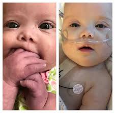 What a difference a week makes, a fantastic blue.