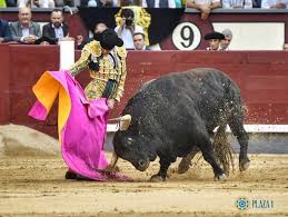 En vídeo: Revive los mejores momentos del cartel de arte en Las Ventas -  Contrabarrera 6