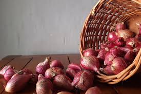 Maybe you would like to learn more about one of these? Tidak Sulit Begini Cara Menanam Bawang Merah Di Pot Halaman All Kompas Com