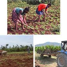 1:22:03 nicole michael recommended for you. Pdf The Impact Of Agriculture On African Civilization In The 21st Century