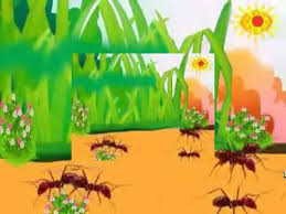 Nhấn vào ảnh để phóng to Kết quả hình ảnh cho Đàn kiến