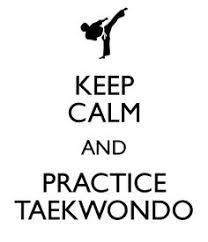 36 Best Taekwondo Images In 2018 Fitness Exercises