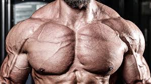 For all other muscle groups, follow your typical training program. For Big Shoulders Ditch The Free Weights T Nation