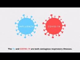 How long is a person contagious with the flu. Coronavirus Disease 2019 Vs The Flu Johns Hopkins Medicine
