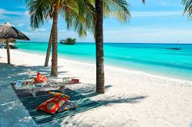 Snorkelling In Zanzibar Style Choose From Our Wide Variety Of Zanzibar Tour Packages And Explore Zanzibar Zanzibar Travel Beautiful Places To Travel Tanzania