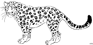 Leopard Steht Ausmalbild Malvorlage Tiere